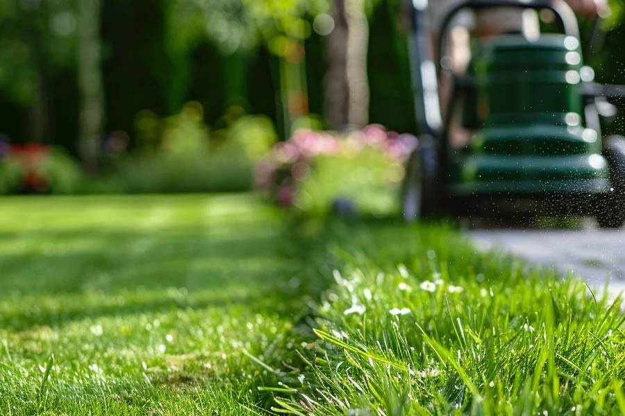 self-propelled electric lawn mower